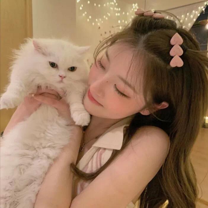 做你的猫🐱
