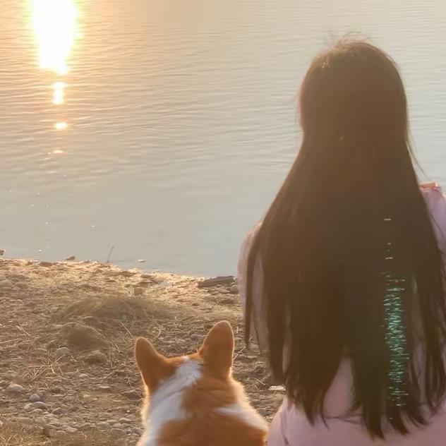 茅台酱香冰激凌格多驰一飞直播号