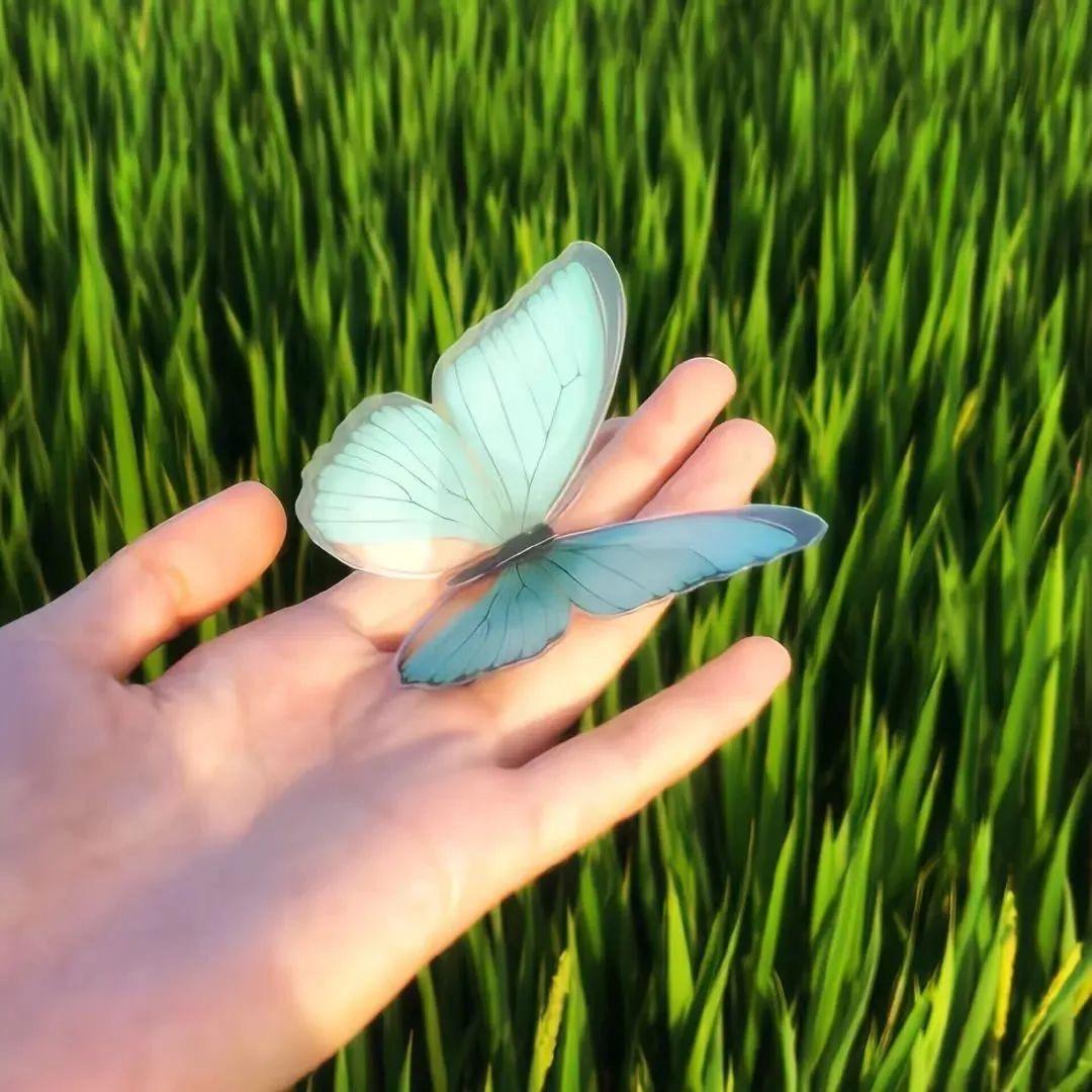 鹛