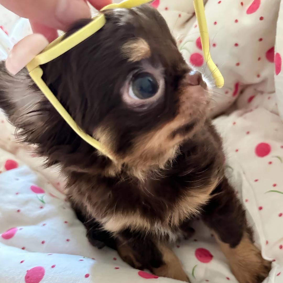 ๑アーモンドケーキ๑