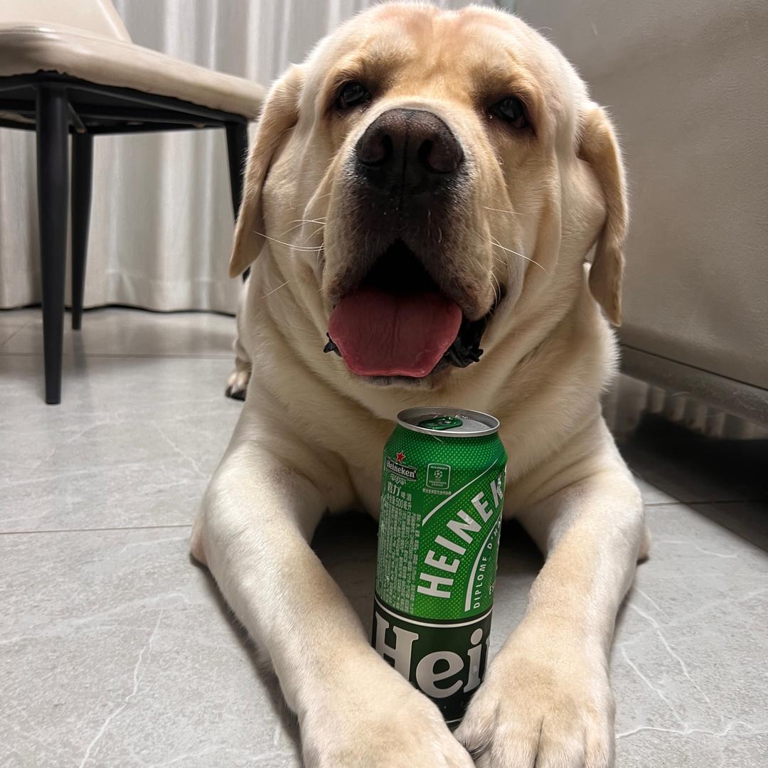 messi是个拉猪