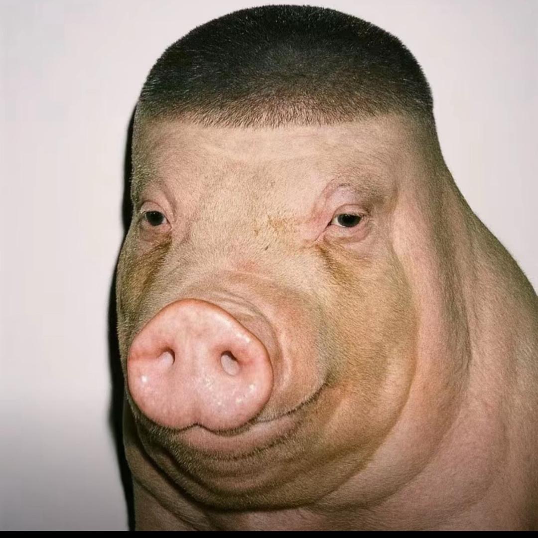 于雁