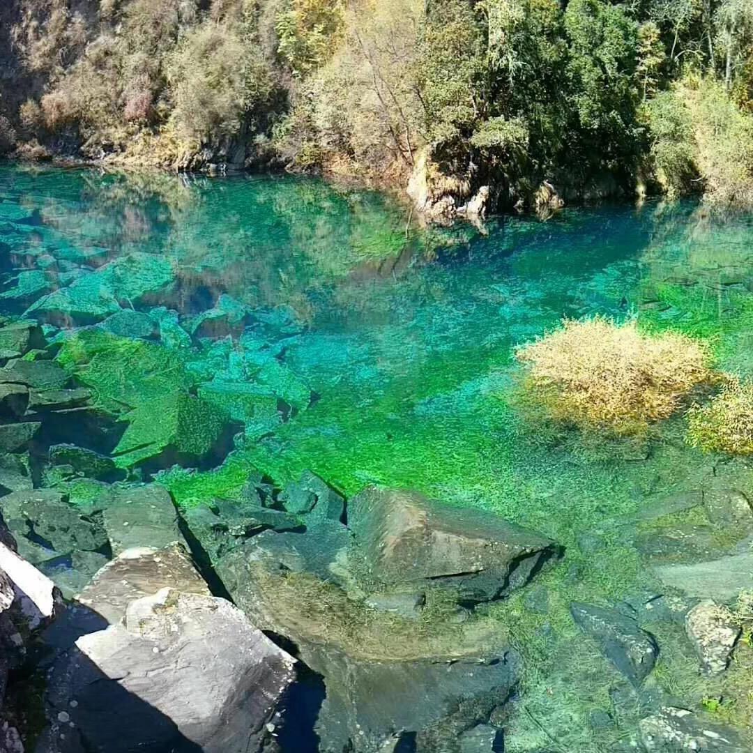 开心❤️每一天