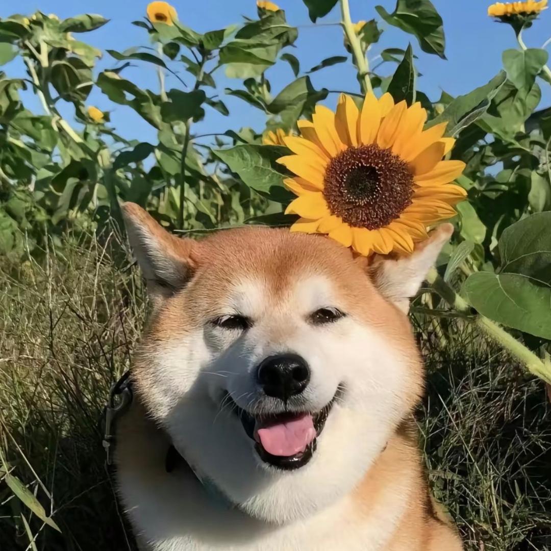 「^ ^」