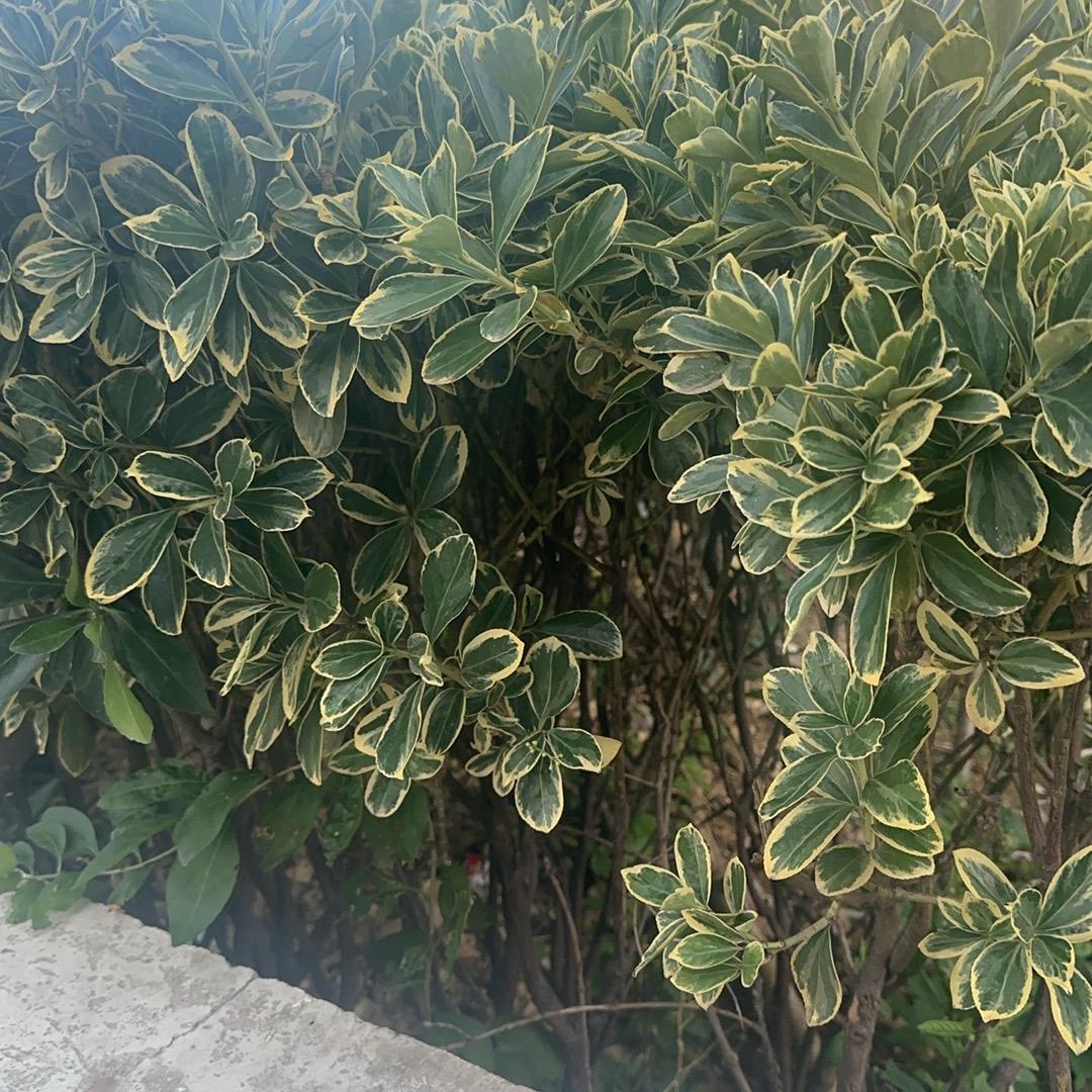 爱笑的人运气都不会差