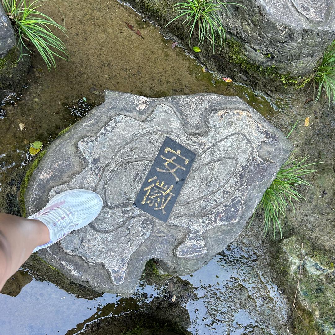 优选王炸毛
