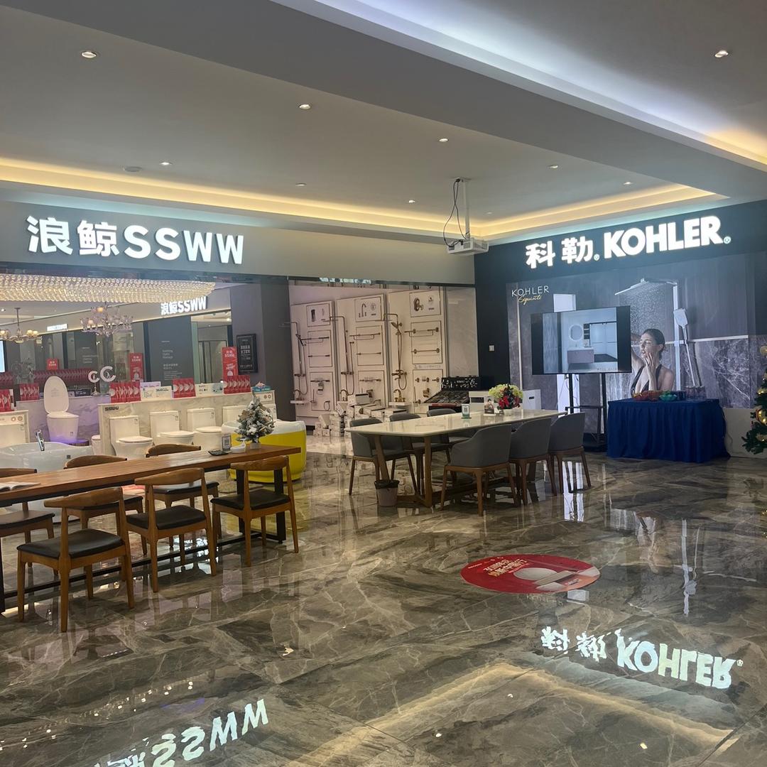 卖马桶的小姐姐王丽