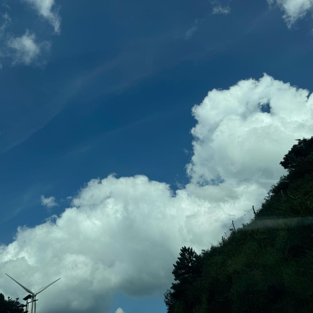 小雨子
