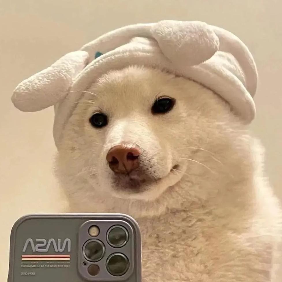 号的