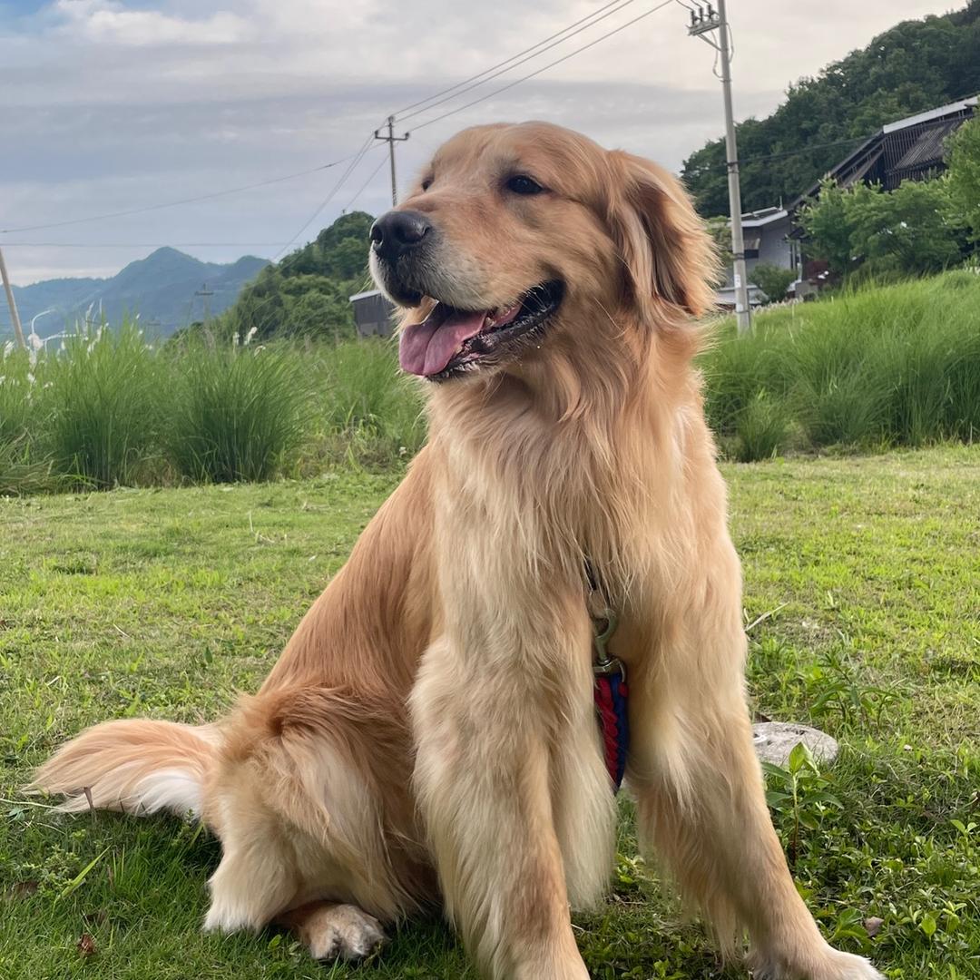 无中介费出租多房源