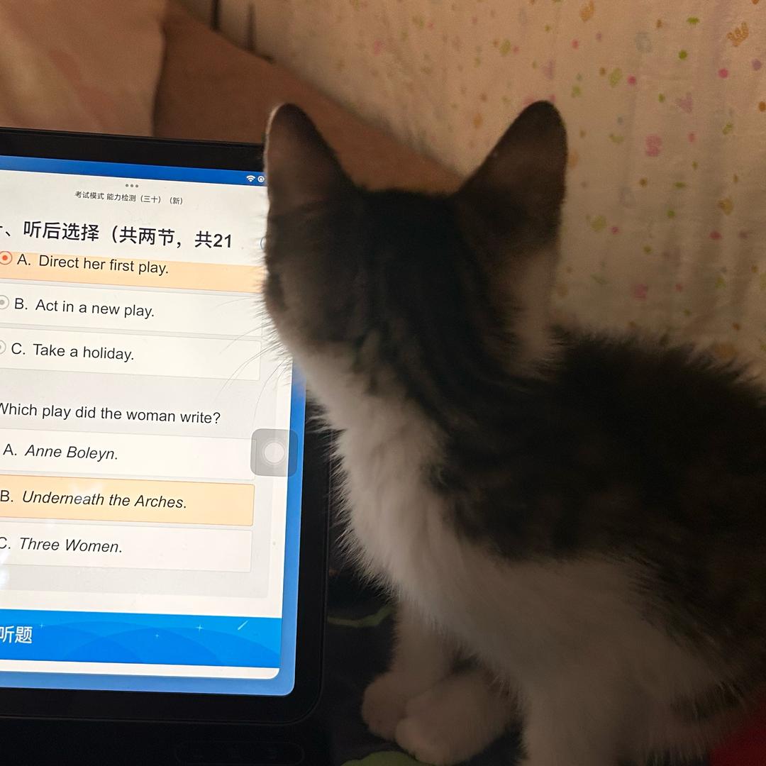 秋拾