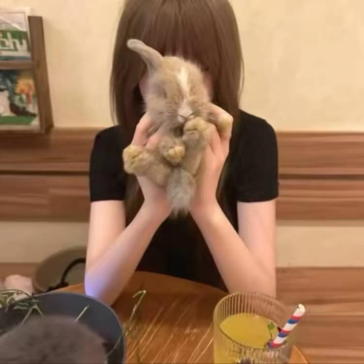 捉刀客