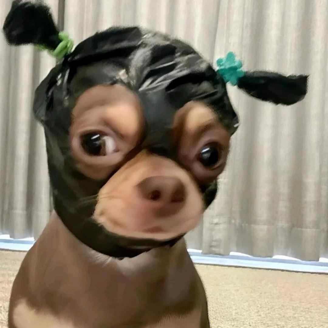 叽里呱啦