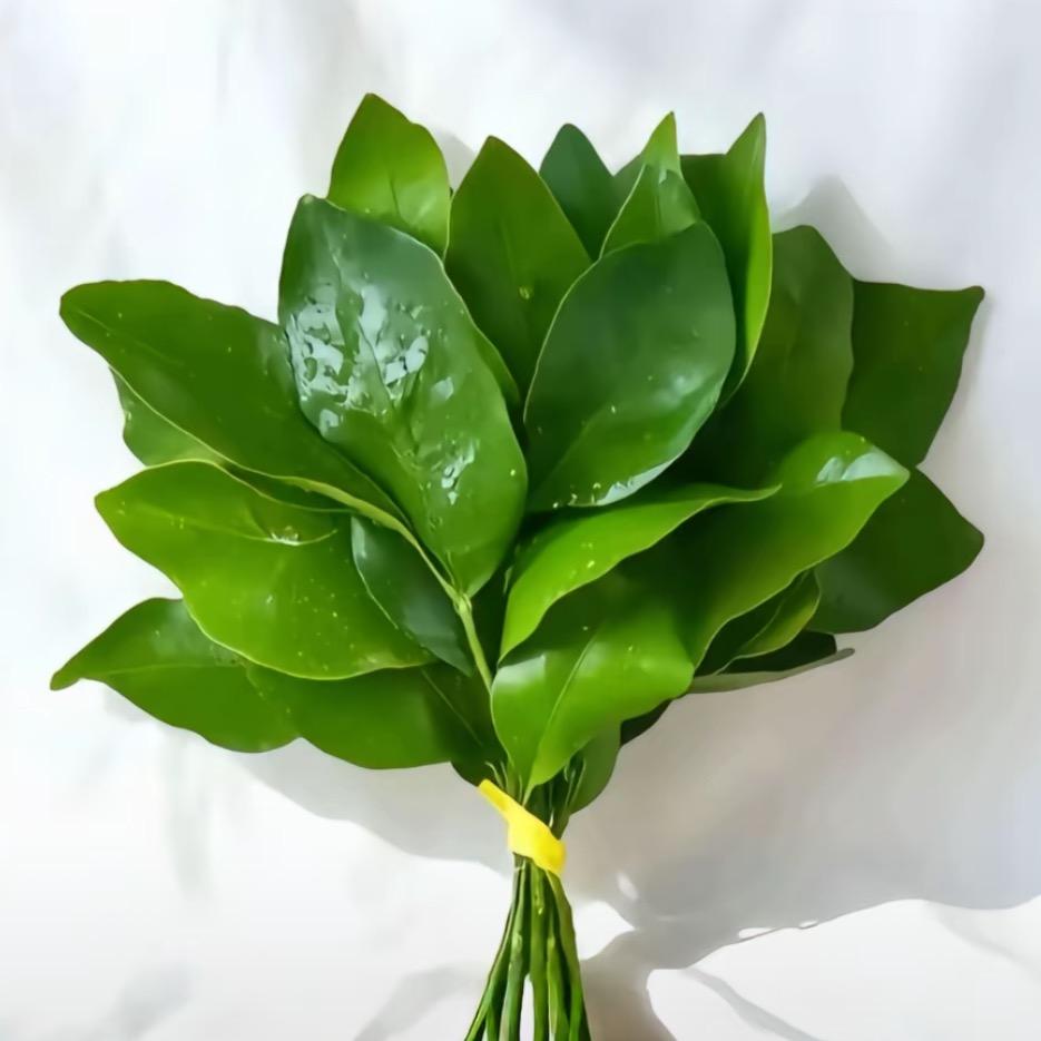 拾柒·三角洲手游代肝