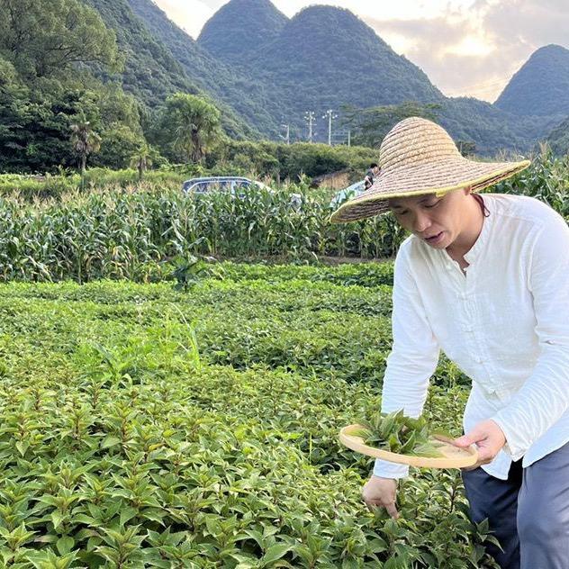 寻味潮汕百草-柯校