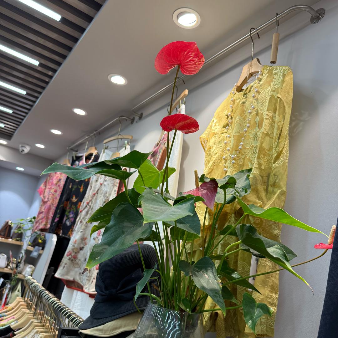 上海 三林女装店（艳姐）