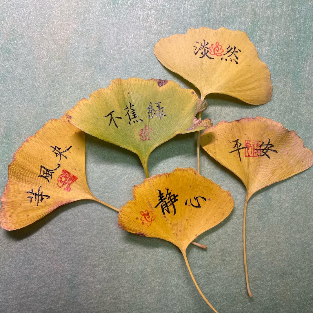 小顾