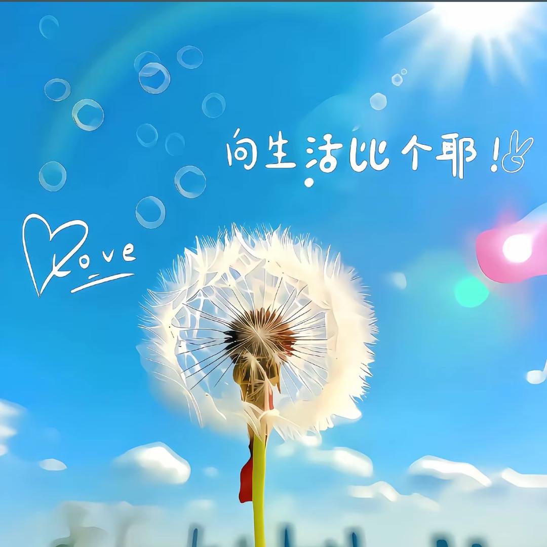 小顺优选
