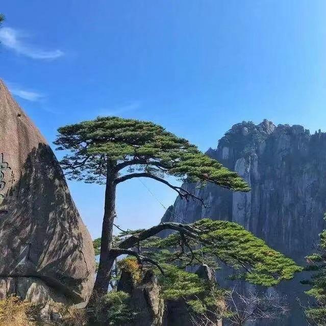 阿健4