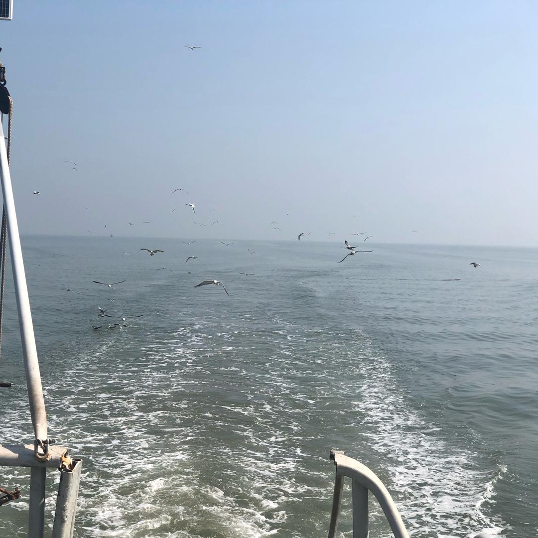 天官赐福   百无禁忌