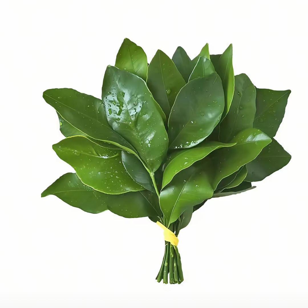 线条小狗没假期