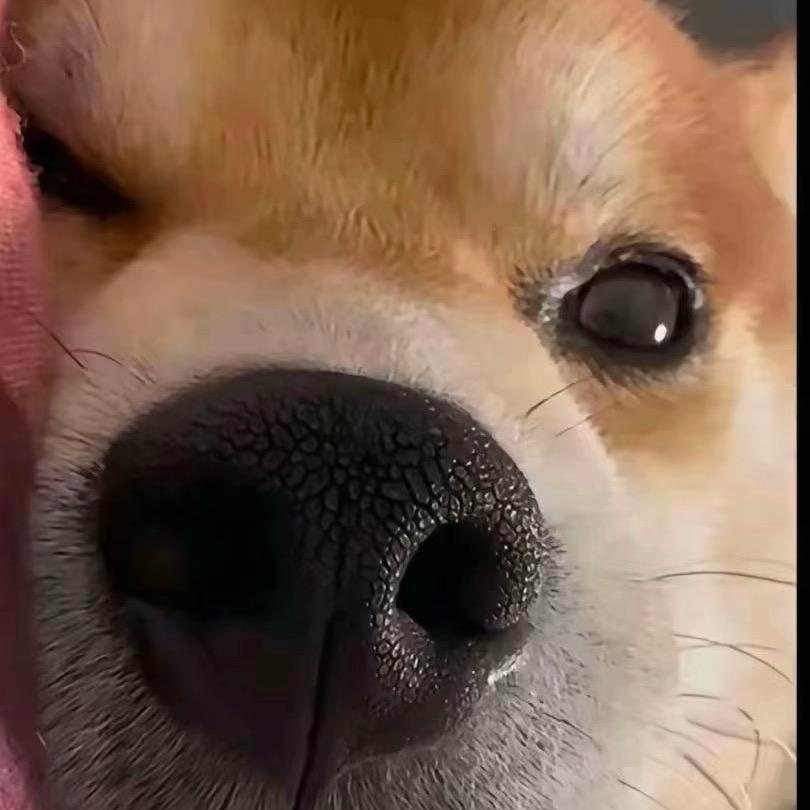°