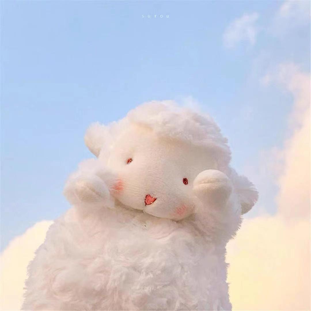 炒饭很好吃_🐼