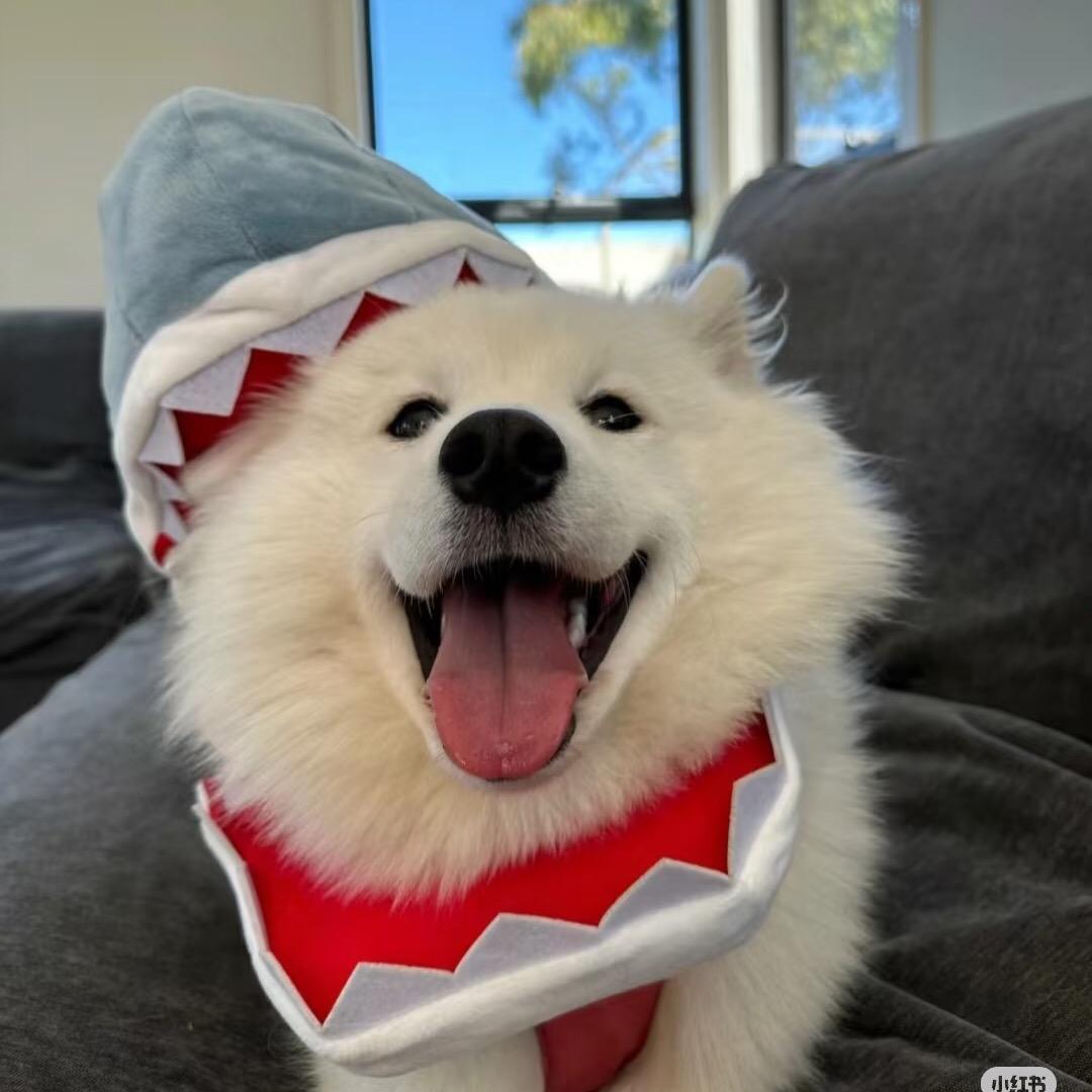 绿意-赵姐的传奇