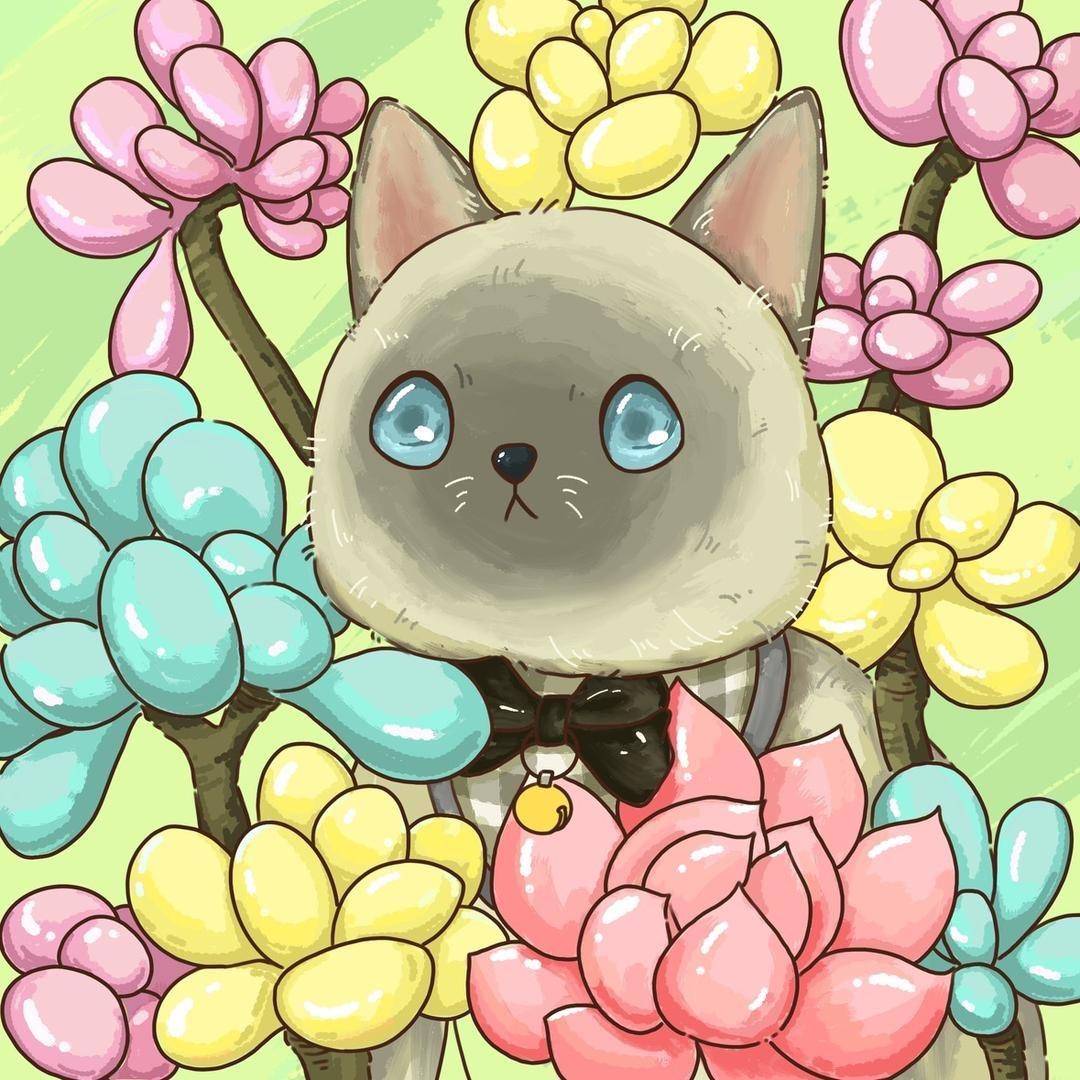 艾薇的多肉日记