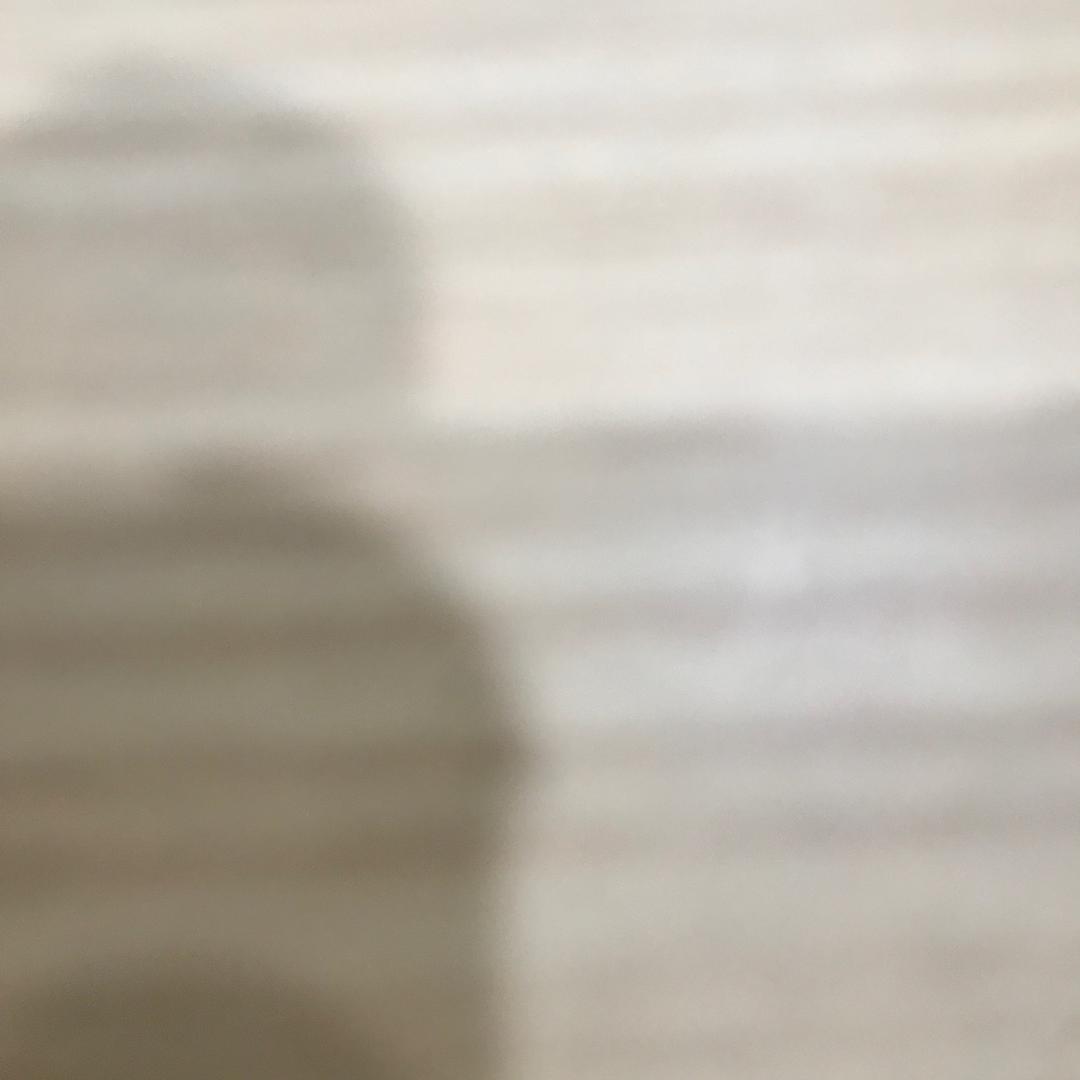 和平大丫头
