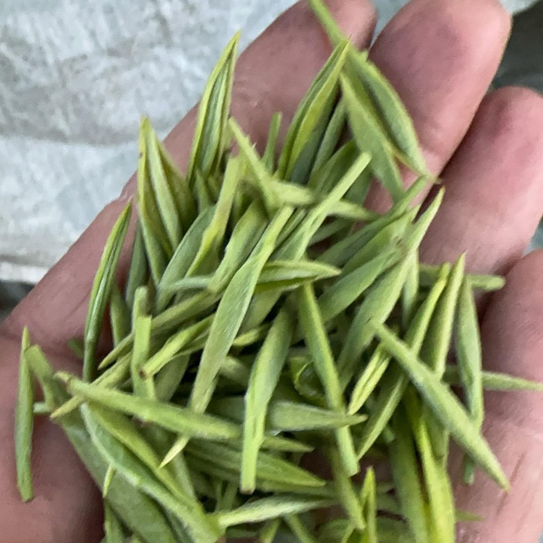 望海茶系列自产自销