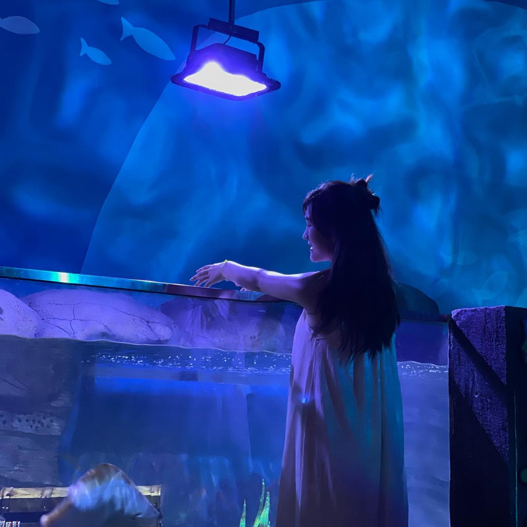 👑不发脾气只发财