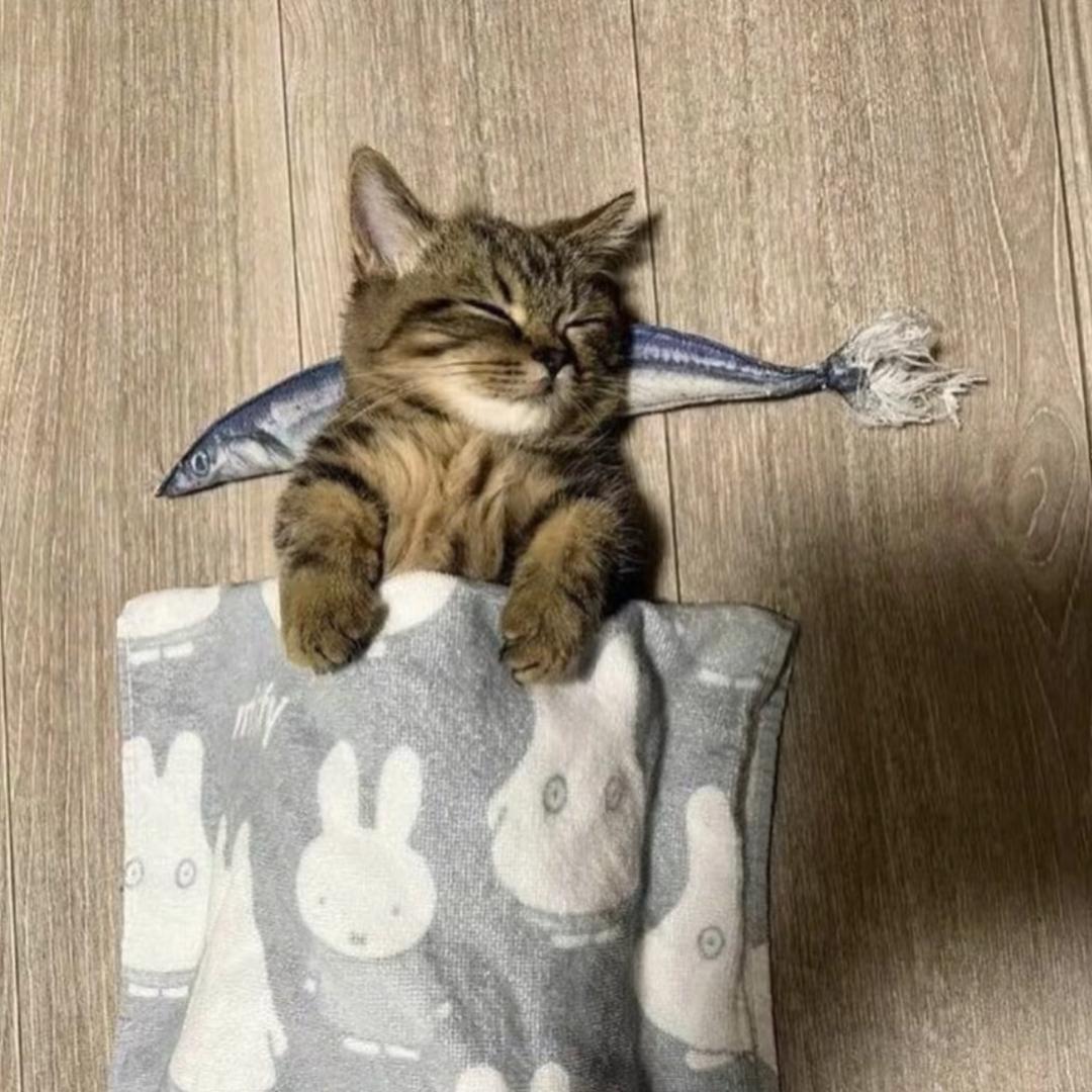 ㅤ ㅤ