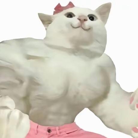 狂暴的小美