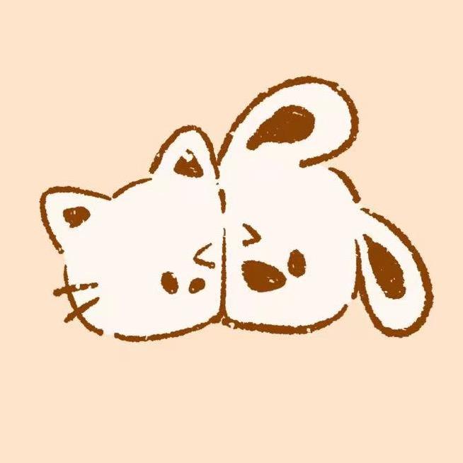 小阳爱猫狗
