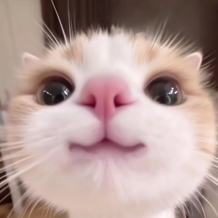 沐澄来了