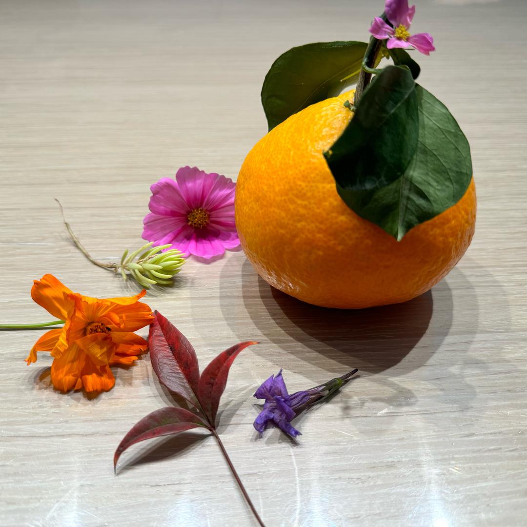 小饭饭