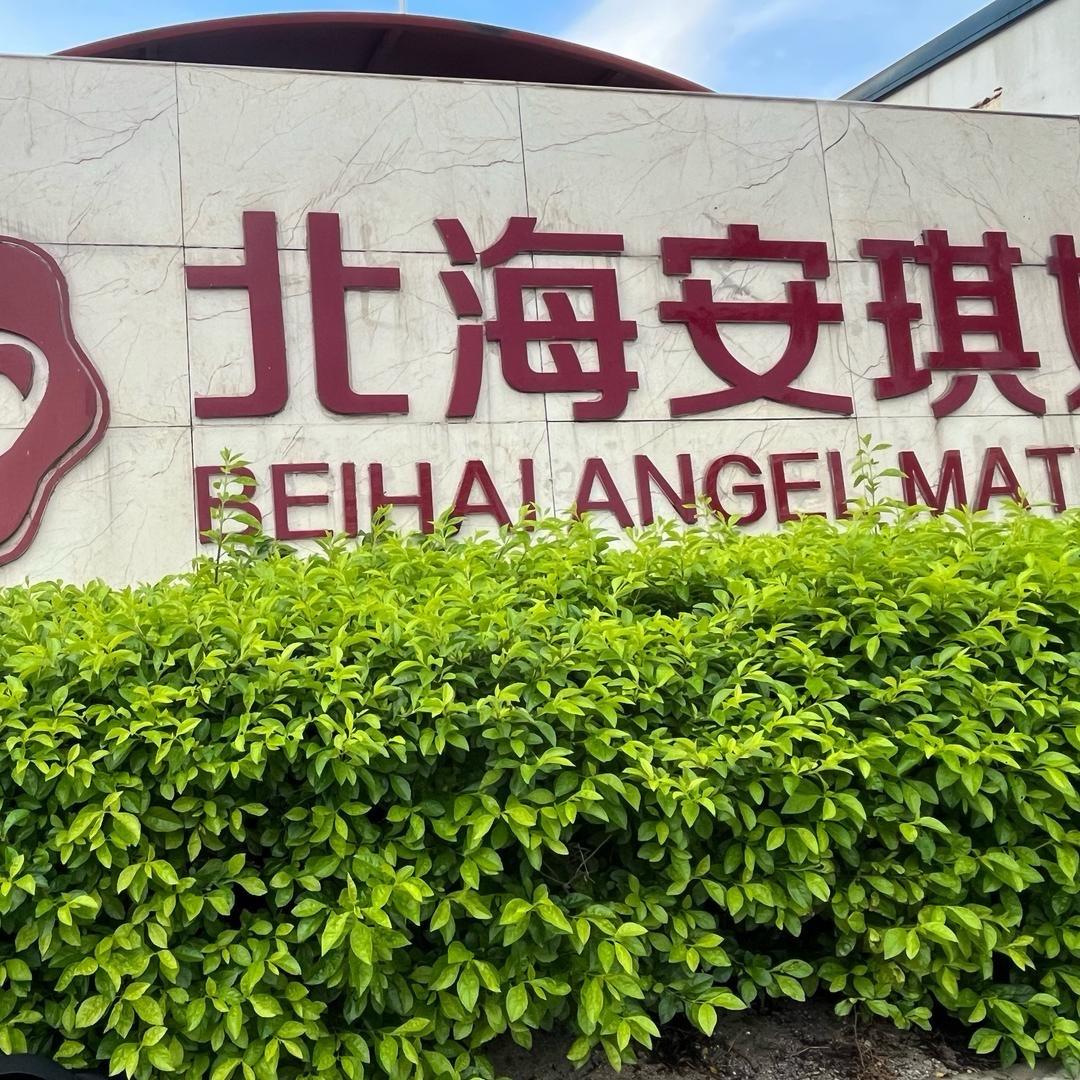 北海安琪康大白
