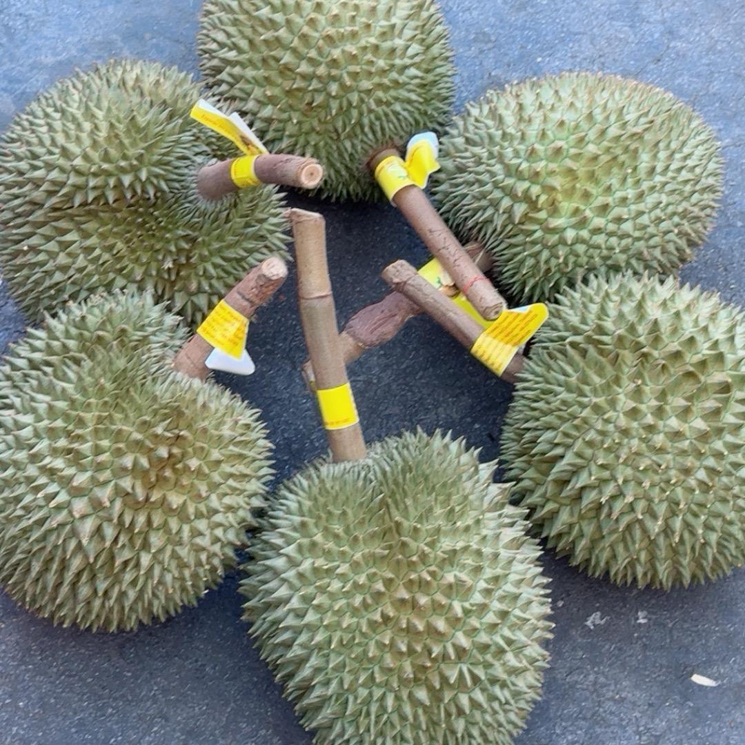 昆明诺达乐果品贸易有限公司