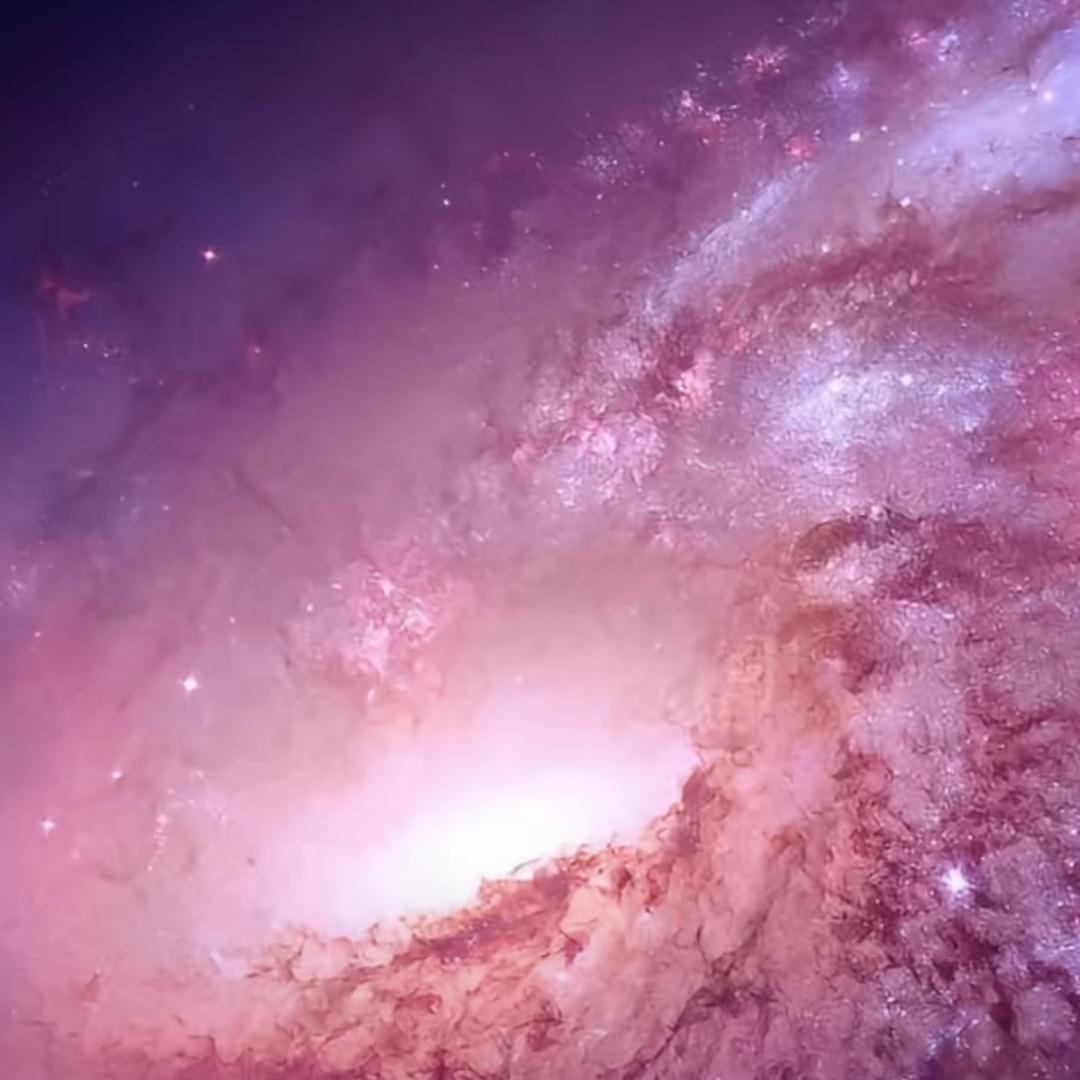 🌈（逢考必过版）