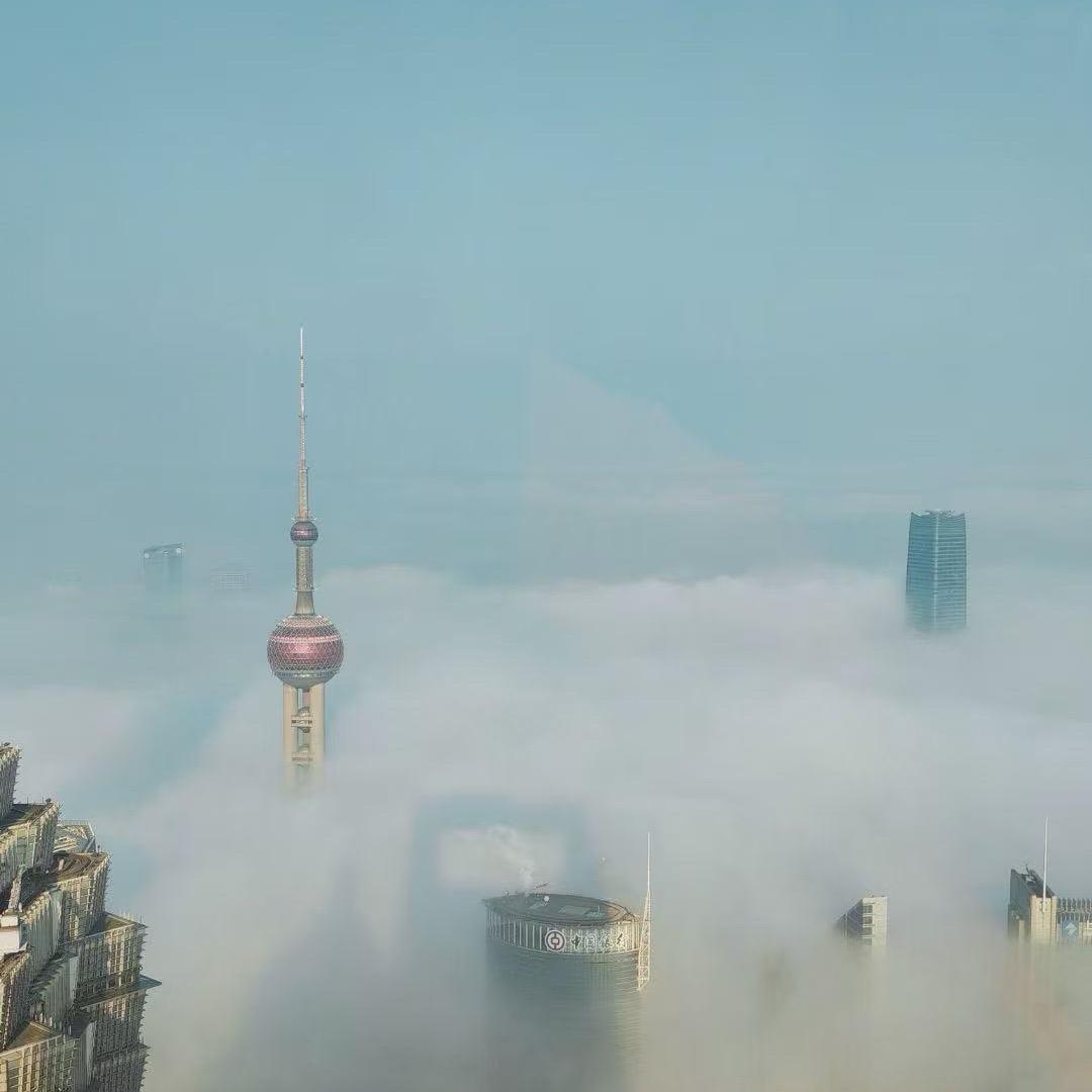 管理
