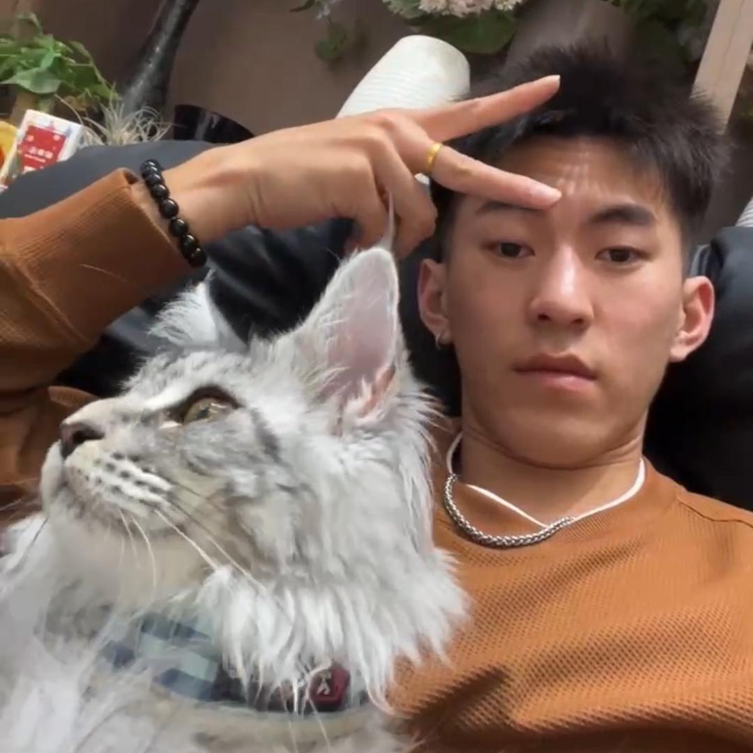 伟业爱养猫