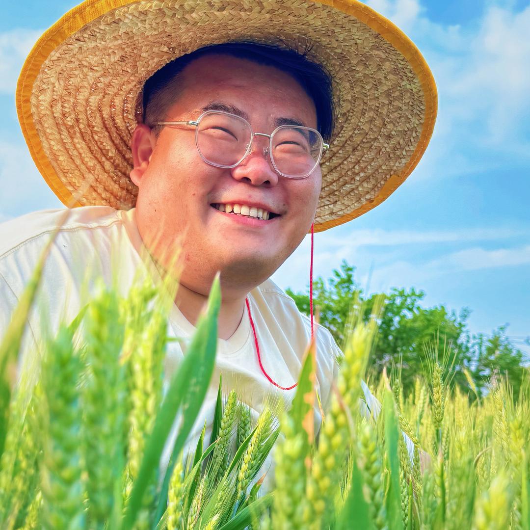 有趣的家庭妇男
