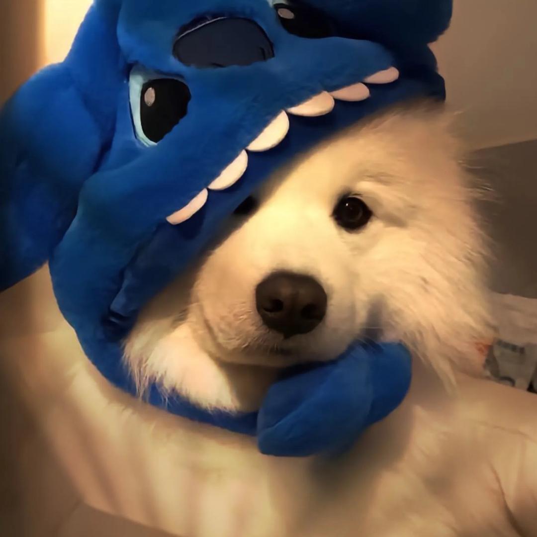 今晚一定不熬夜/