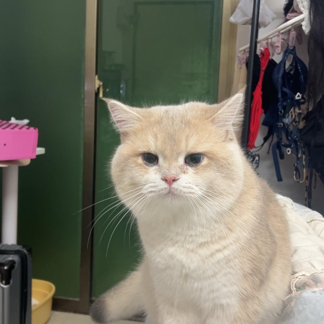 💕梅花🌷傲🧚雪✈️