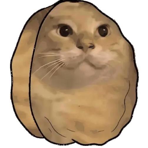 哈基漏