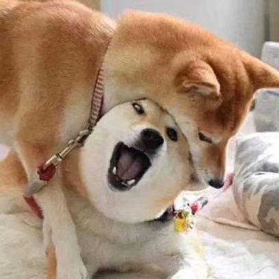 不挽牛