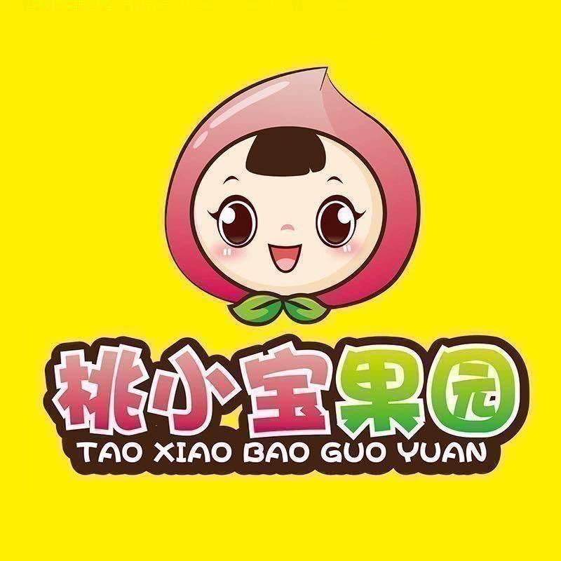 周口市川汇区桃小宝水果店