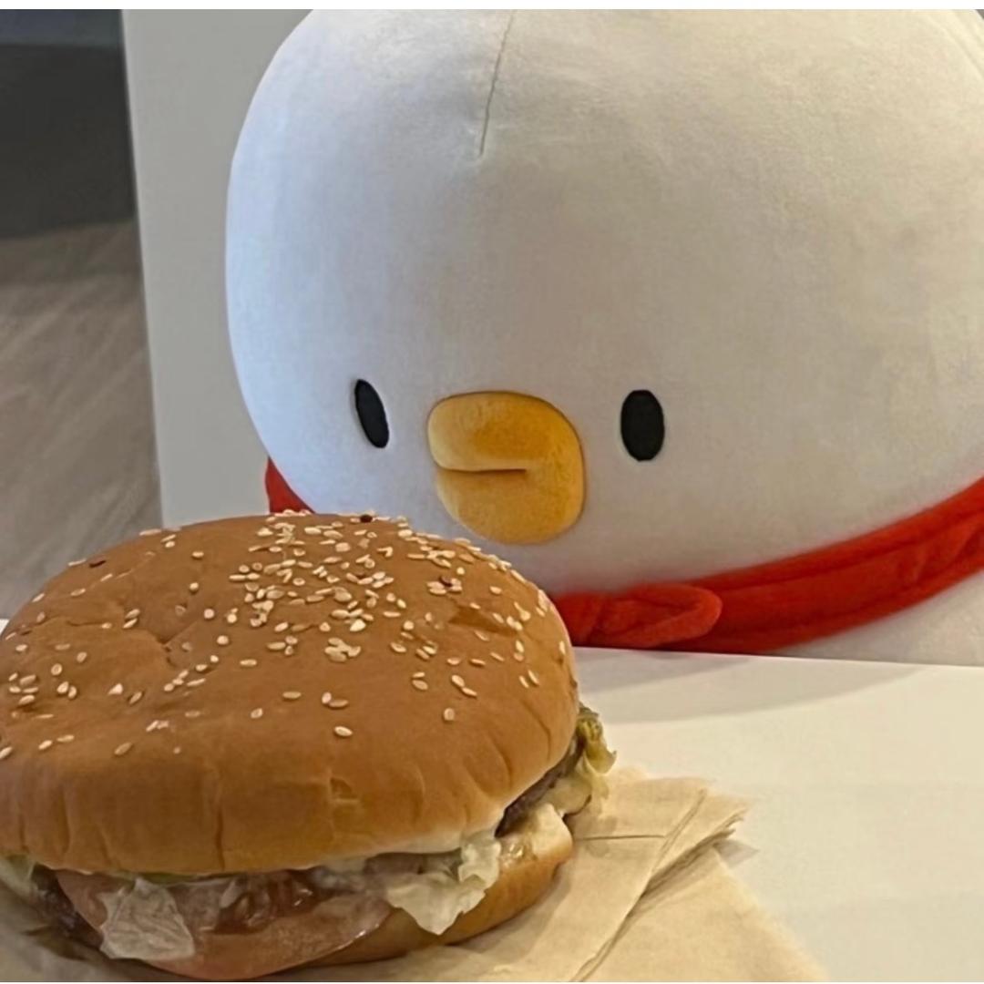 我是小鸭🐤