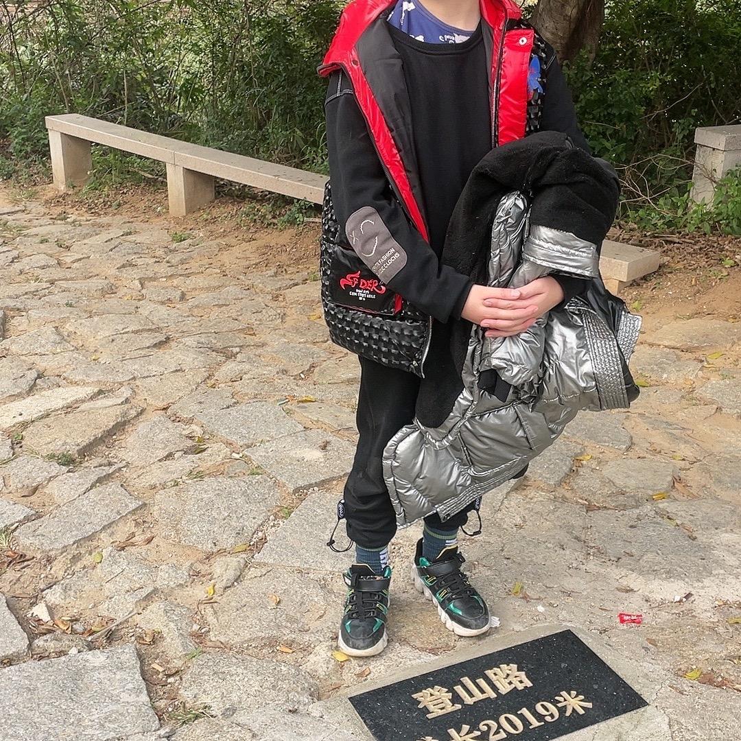 山中有直树